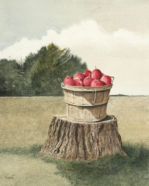 Stumped